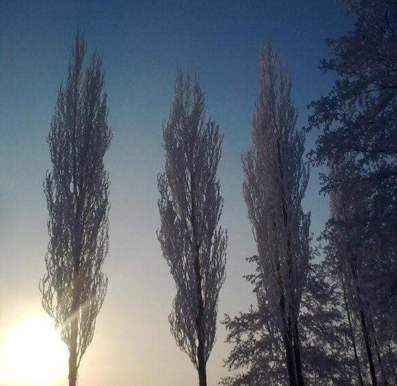 住宿加早餐 Appartement De Molshoop