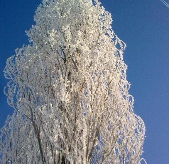 住宿加早餐 Appartement De Molshoop