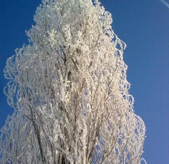 Aamiaismajoitus (B&B) Appartement De Molshoop