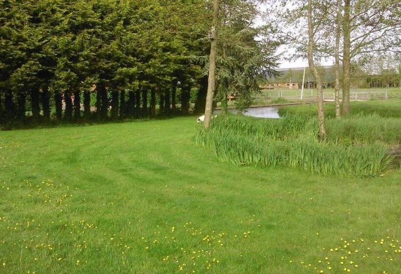 住宿加早餐 Appartement De Molshoop