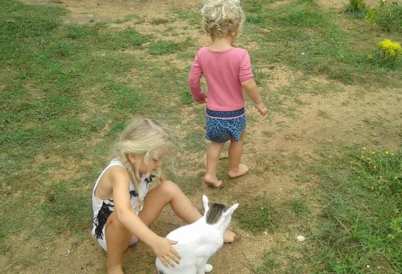 تختخواب و صبحانه Suman Beach Rooms