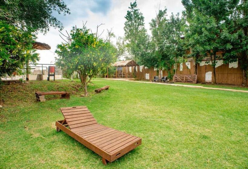 Hotel Altavista Terra