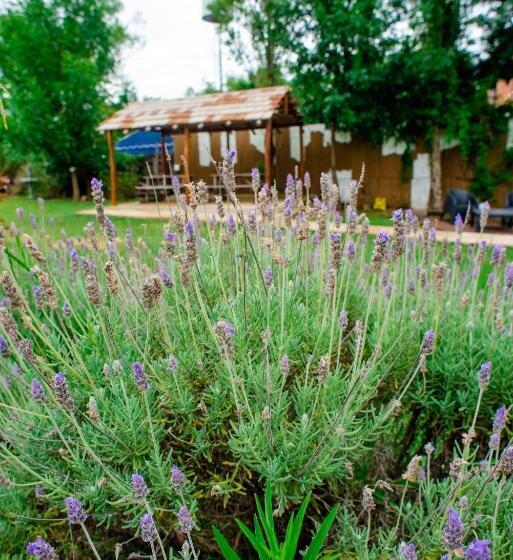 Hotel Altavista Terra