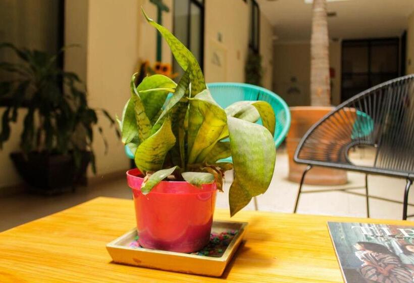 Otel He Centro   Desayuno Incluido