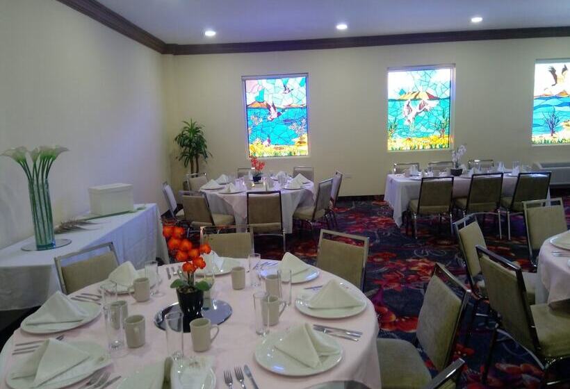 Los Cedros Hotel Inn Nuevo Casas Grandes