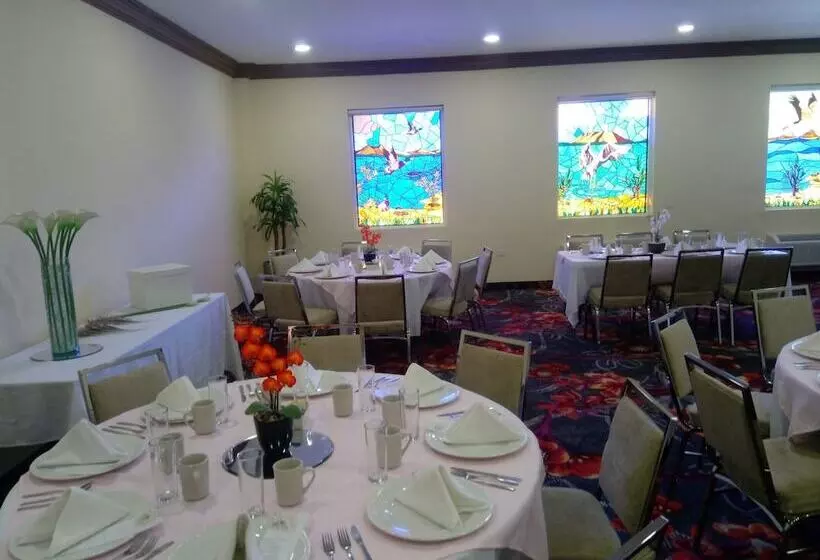 Los Cedros Hotel Inn Nuevo Casas Grandes