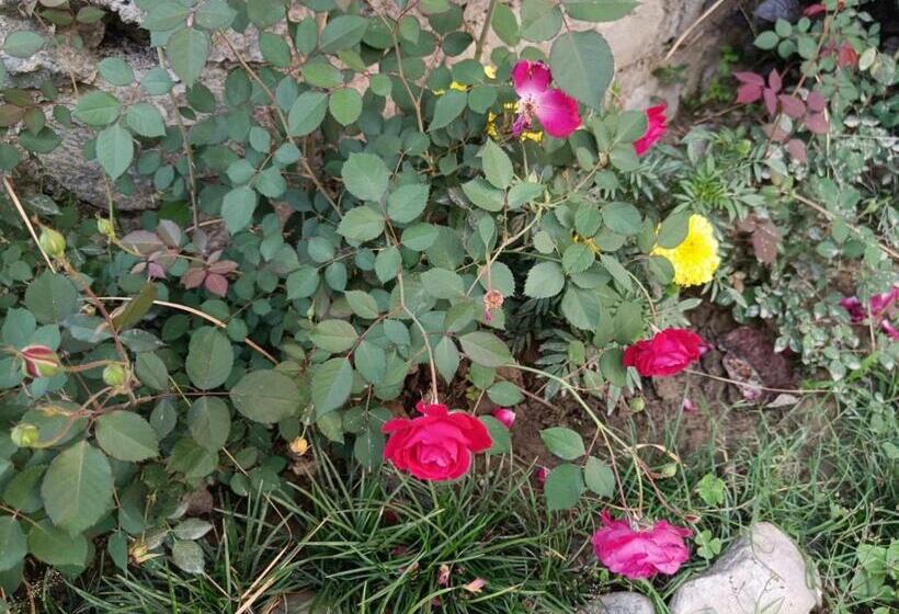 ホテル Vanasthali Jungle Resort Corbett By Royal Collection