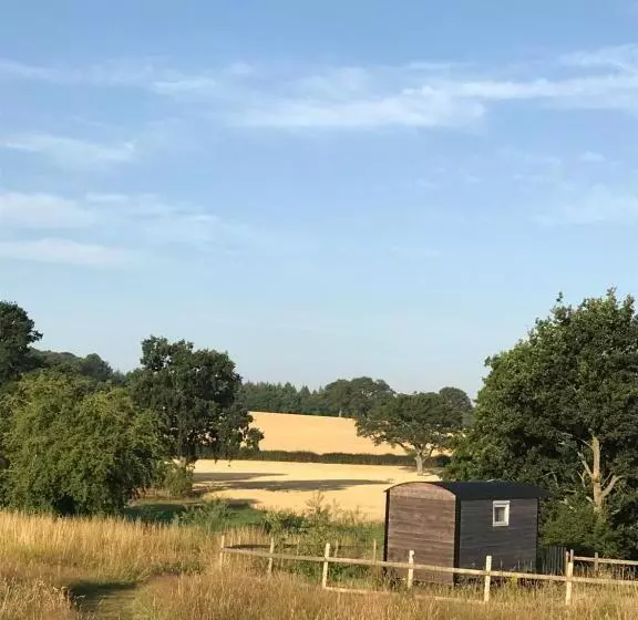 ホテル Wellbank Shepherds Hut