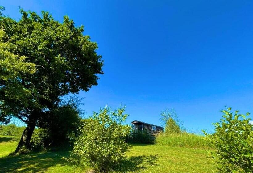 ホテル Wellbank Shepherds Hut