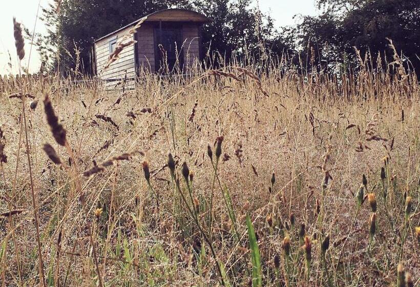 ホテル Wellbank Shepherds Hut