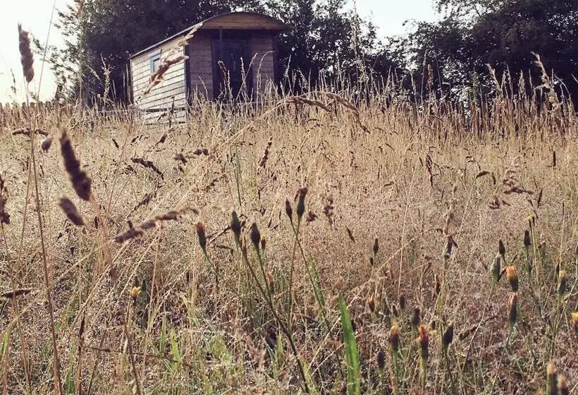 ホテル Wellbank Shepherds Hut