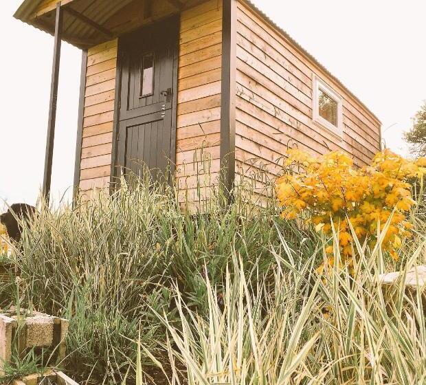 ホテル Wellbank Shepherds Hut