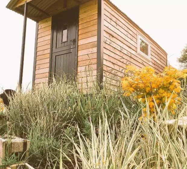 ホテル Wellbank Shepherds Hut