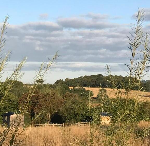 ホテル Wellbank Shepherds Hut