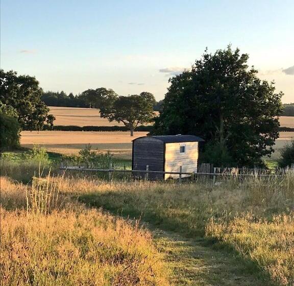 ホテル Wellbank Shepherds Hut
