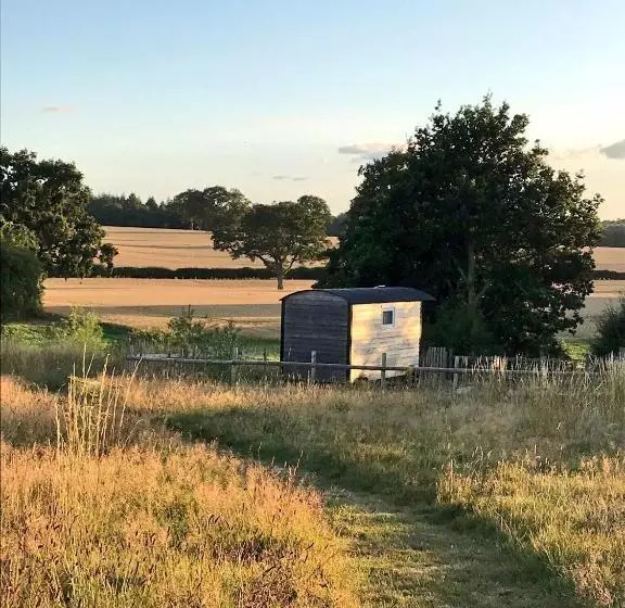ホテル Wellbank Shepherds Hut