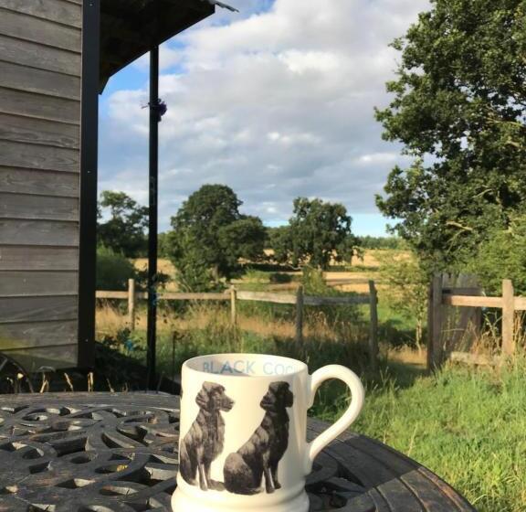 ホテル Wellbank Shepherds Hut