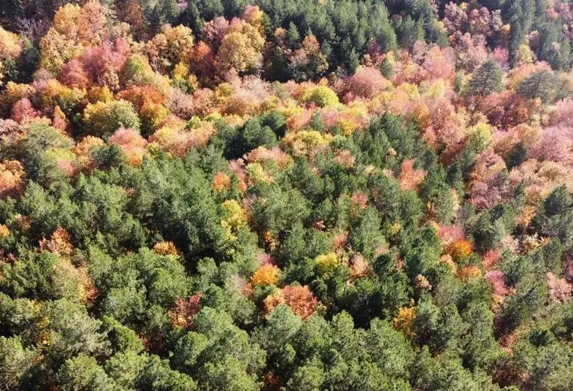 Iliada Hotel Kaz Daglari