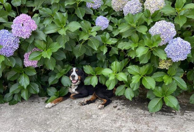 Iliada Hotel Kaz Daglari