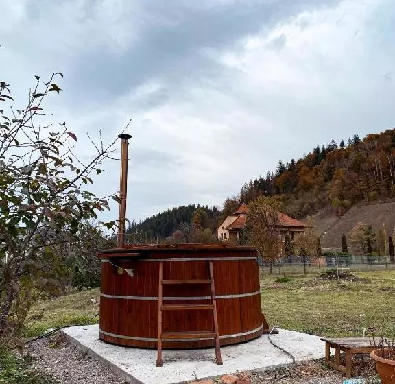 پانسیون Casa Irina