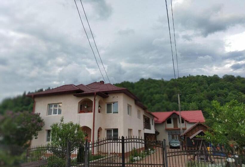 پانسیون Casa Irina