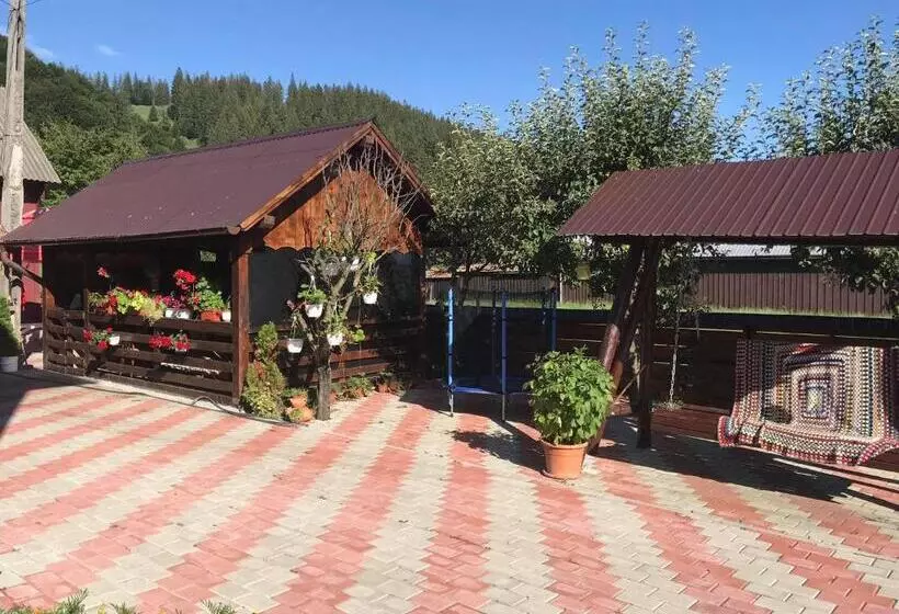 پانسیون Casa Irina