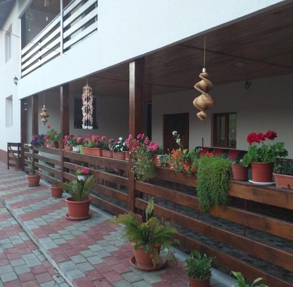 پانسیون Casa Irina