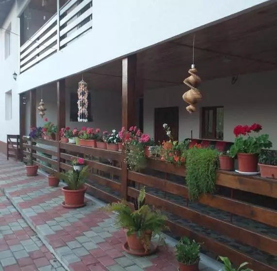 پانسیون Casa Irina