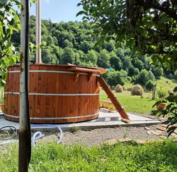 پانسیون Casa Irina