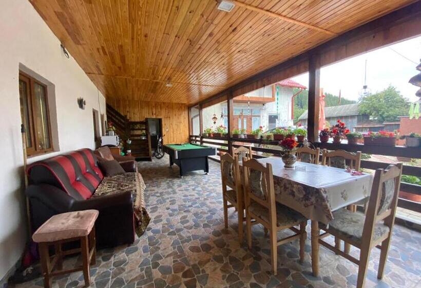 پانسیون Casa Irina