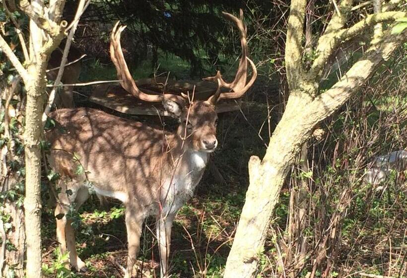 پانسیون Guest House Aquarius