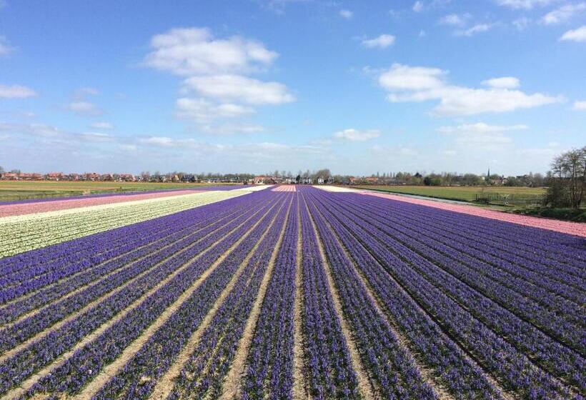 پانسیون Guest House Aquarius