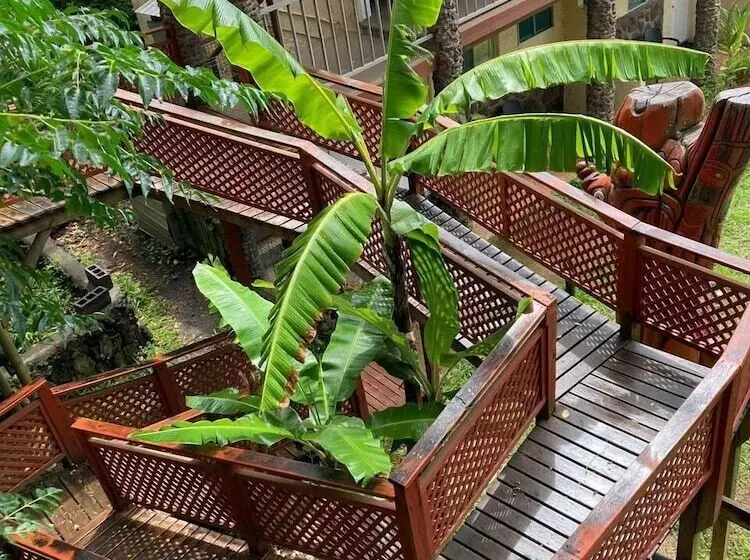 هتل Hare Rapa Nui By Chez Joseph