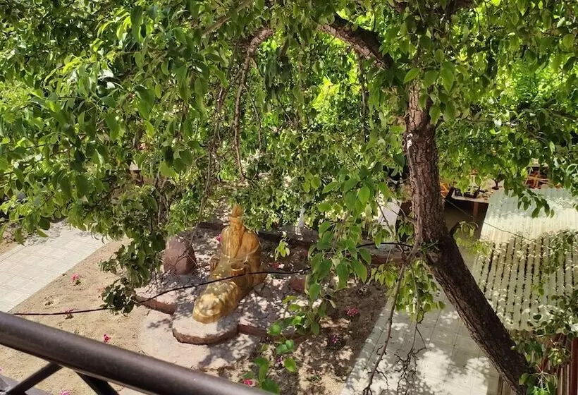 هتل Natalia Issyk Kul