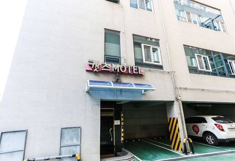 汽车旅馆  Gangneung Cats