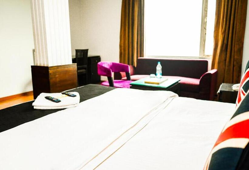 Hotelli King Plaza Near Delhi Airport