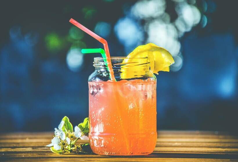 Hotelli King Plaza Near Delhi Airport