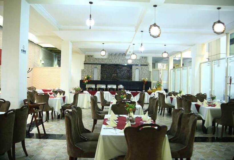 هتل Dire International