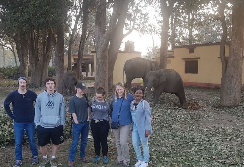 Hotel Dtr Jungle Hideaways