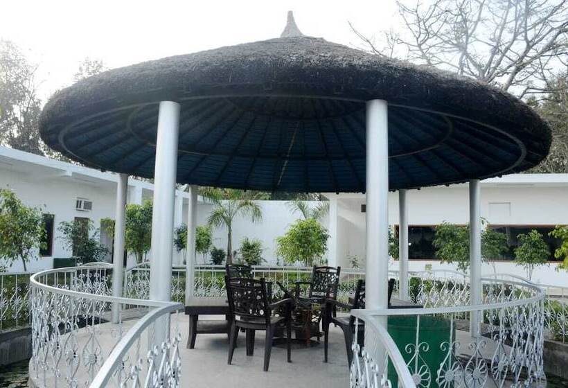 Hotel Dtr Jungle Hideaways