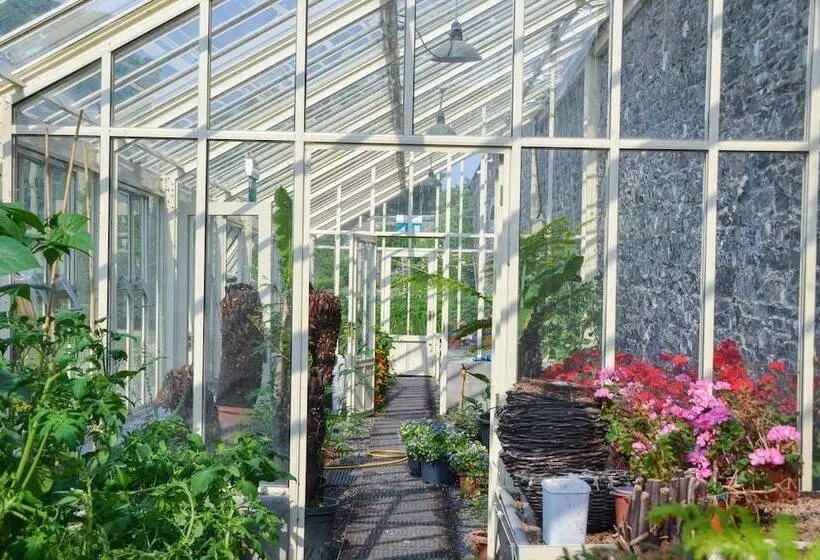 ホテル Killeen Castle