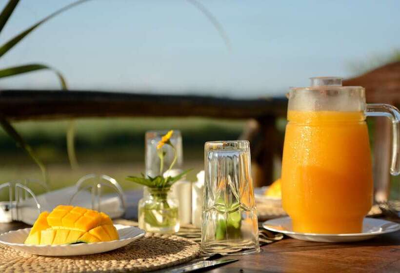 Отель Selous Kulinda Camp