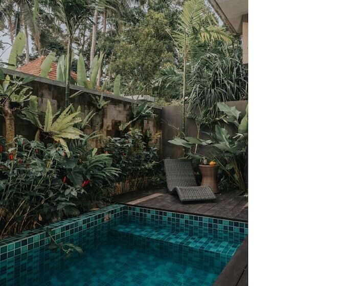 渡假胜地  Villa Ravaka Ubud