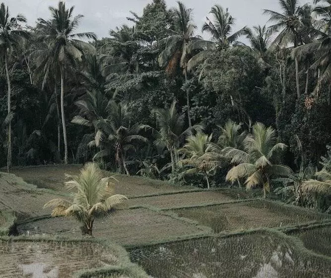 Lomakeskus Villa Ravaka Ubud