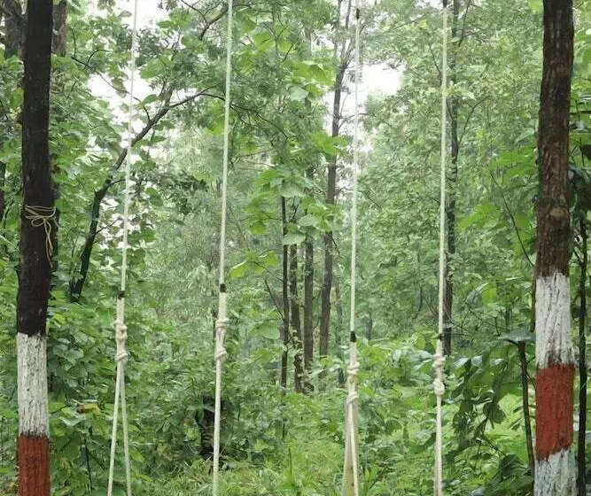 Treebones Resort And Adventure Park