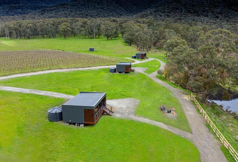 膳宿费 Sambar Hills  Kings #3