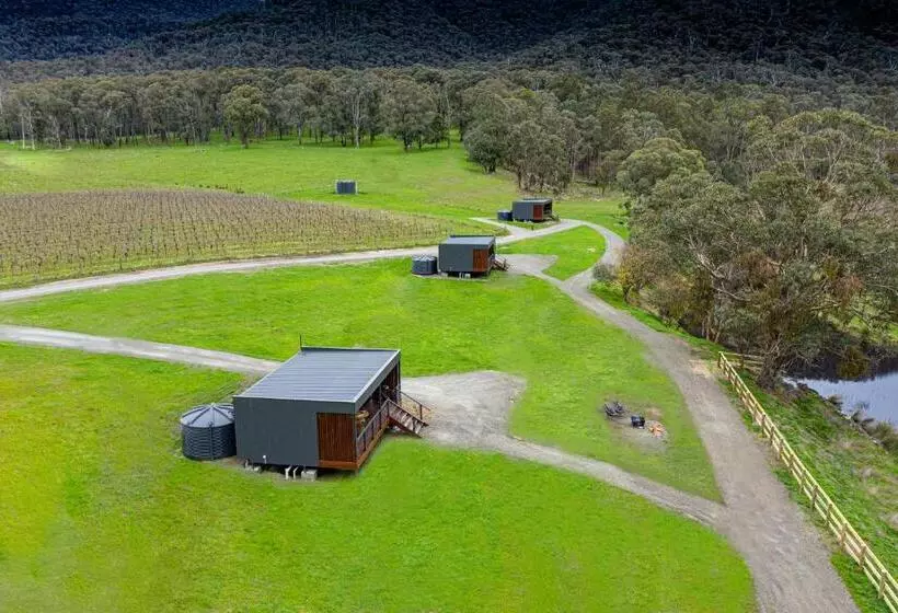 Majatalo Sambar Hills  Kings #3