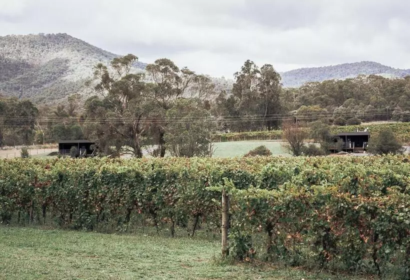 Majatalo Sambar Hills  Kings #3