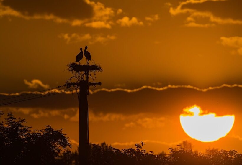 Gedeon Tanya Panzió