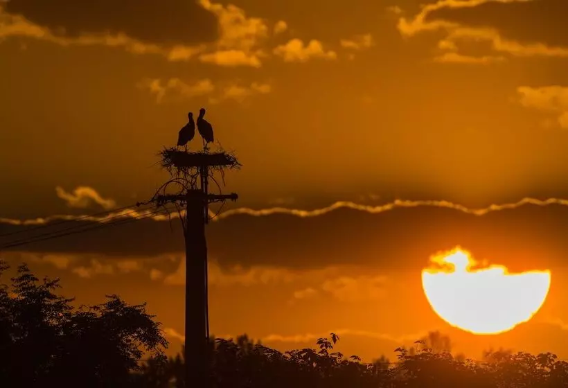 Gedeon Tanya Panzió